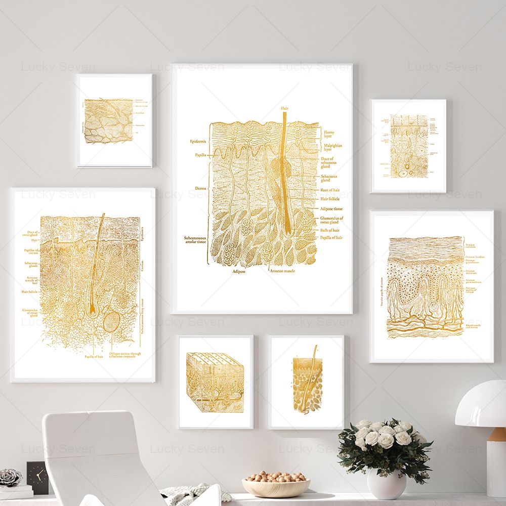 (2D canvas painting)  Skin Car - Skincare Ls review and price